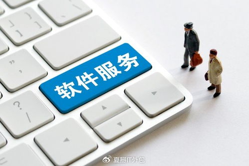 軟件開發(fā)板塊震蕩走強，上海IT運維外包迎發(fā)展新機遇