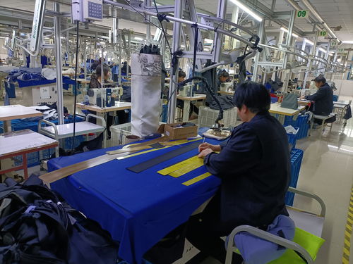 全省服裝產業(yè)高質量發(fā)展推進會現場觀摩勞動保護用品生產